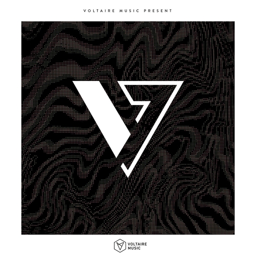 VA - Voltaire Music Pres. V - Issue 46 [VOLTCOMP1126]